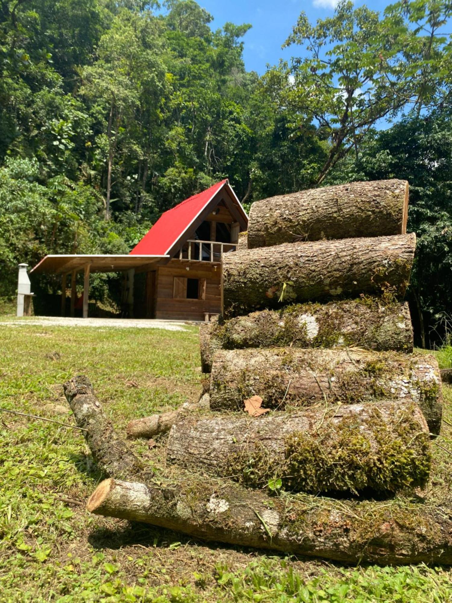 Chale Em Meio A Natureza! Guabiruba ภายนอก รูปภาพ