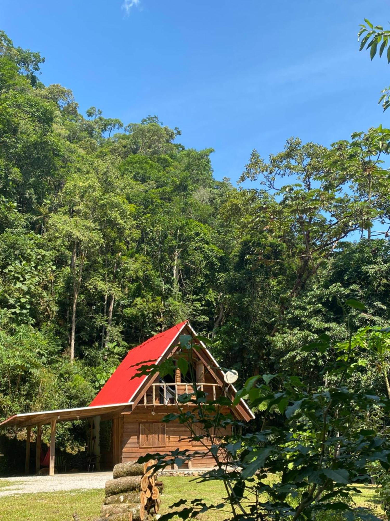 Chale Em Meio A Natureza! Guabiruba ภายนอก รูปภาพ